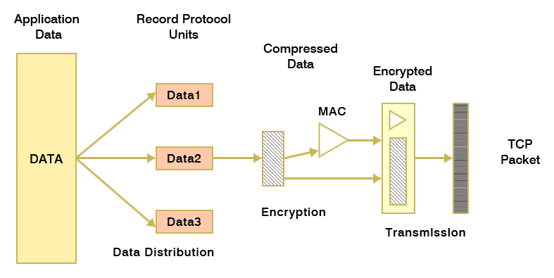 ssl protocol process