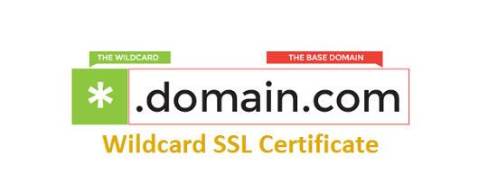 Wildcard SSL Certificate