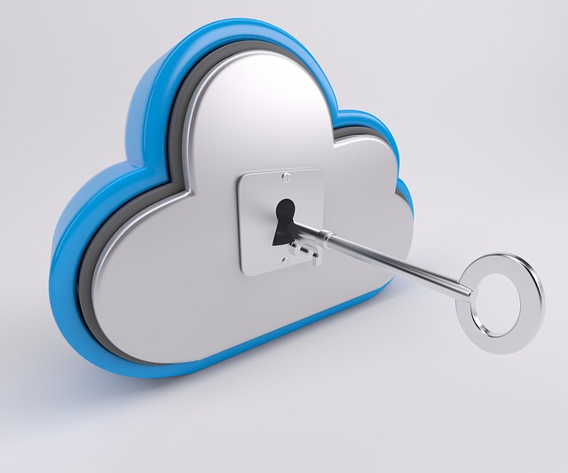 Cloud Computing Security