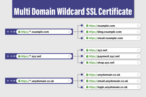 Multi-Domain Wildcard SSL Certificate