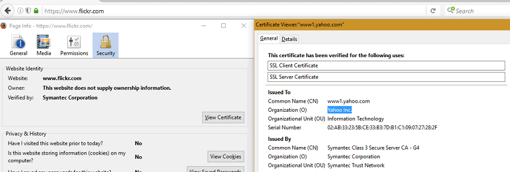 Organization Validation SSL Certificate