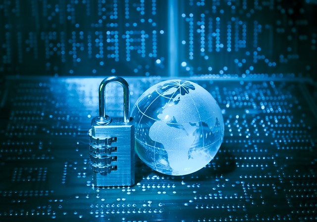 Web Security Vulnerabilities