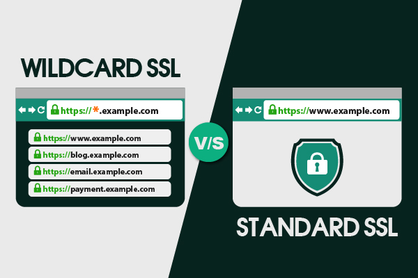 Wildcard SSL vs Standard SSL Certificate